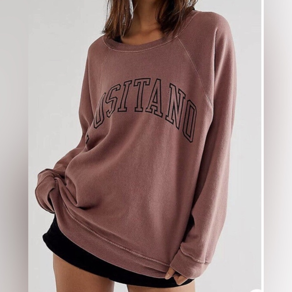 Free People Retrobrand Classic Crew Sweatshirt Positano Clay